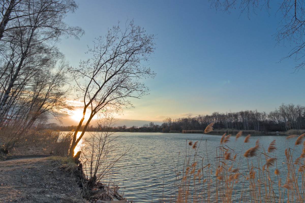 Hainbergsee in Meuselwitz