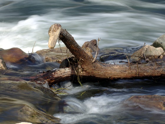 sieht nach Holzkopf aus