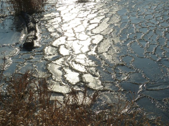 eisschollen auf der elster